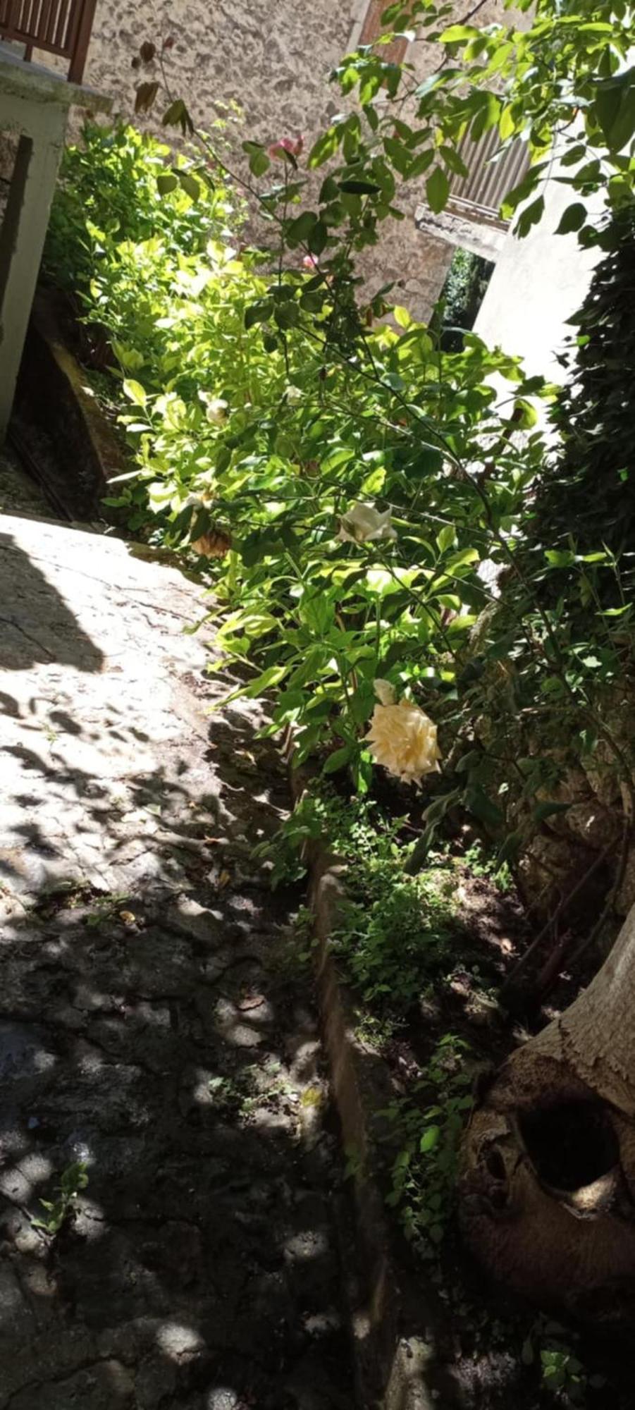 ο θολοσ Appartement Stemnitsa