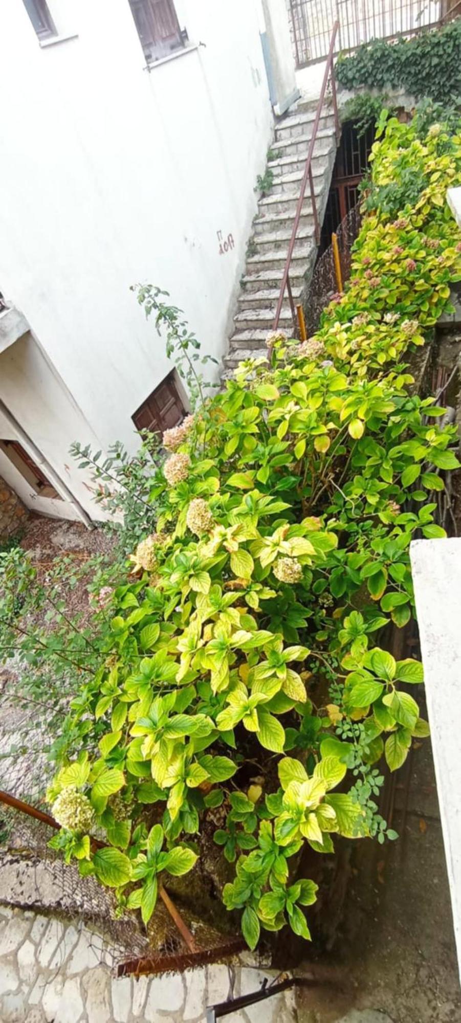 Appartement ο θολοσ